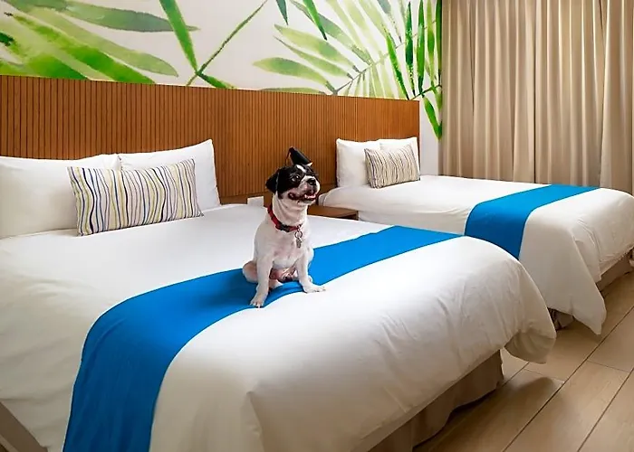 Hotel Lahun
